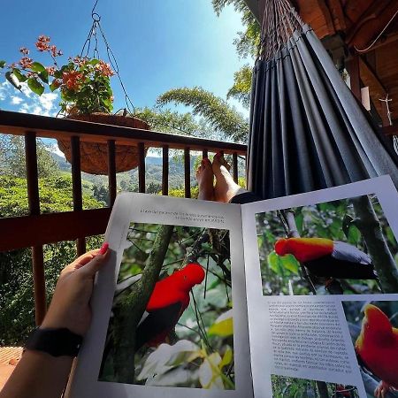 El Cielo Jardin Hotel Kültér fotó